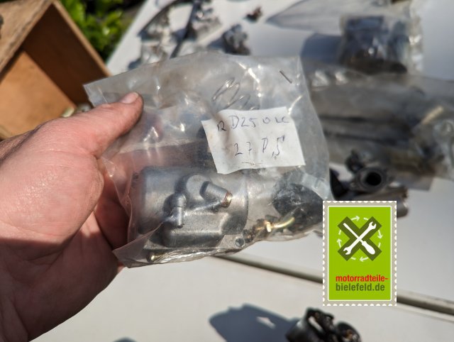 PXL_20240517_155514915